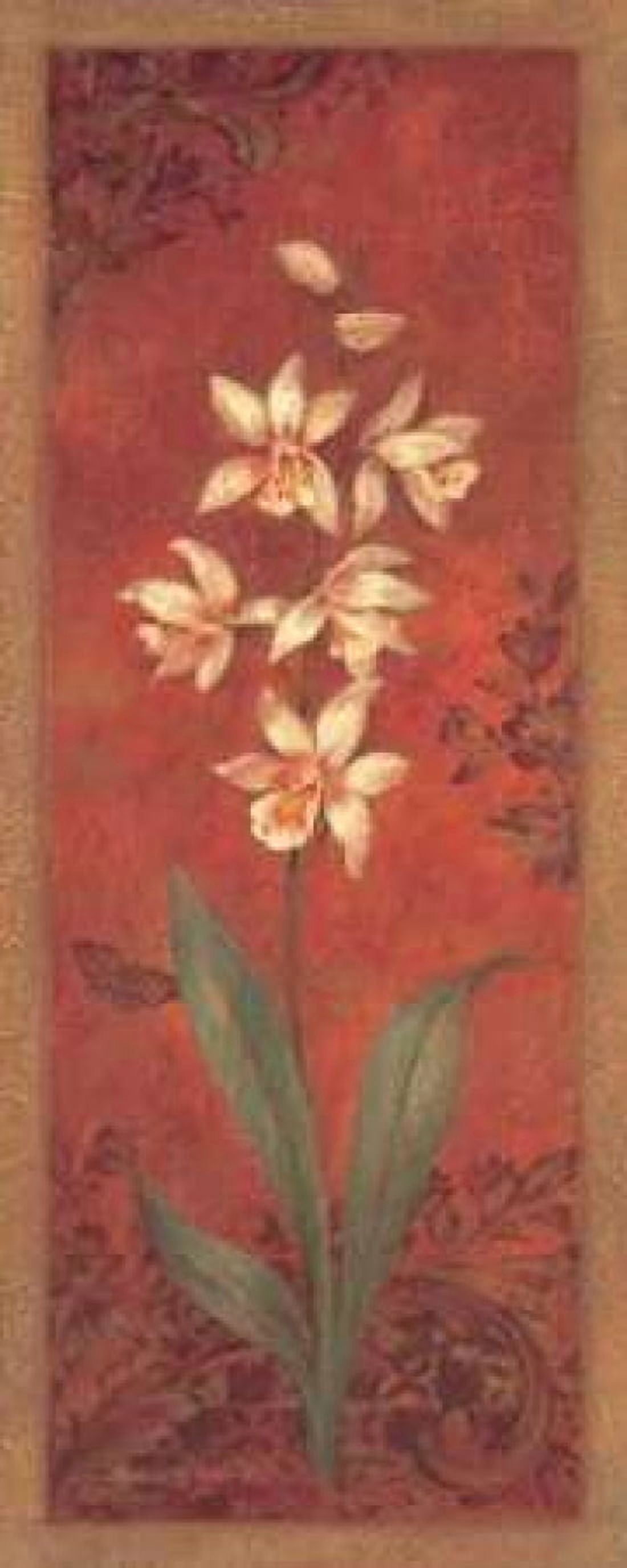 Posterazzi Cymbidium Canvas Art - Pamela Gladding (24 x 48)