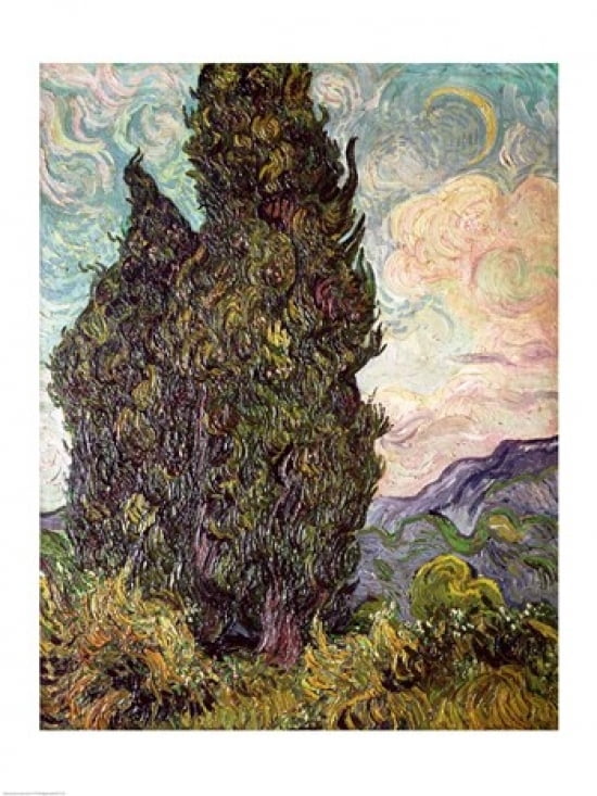 Posterazzi Cypresses 1889 Canvas Art - Vincent Van Gogh (24 x 36)