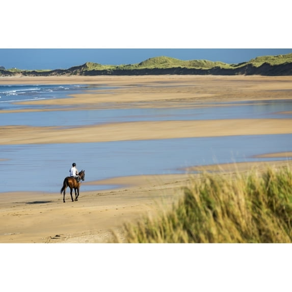 Posterazzi DPI12258733LARGE Horse & Rider on Beach with Grassy Sand Dunes & Blue Sky - Count Clare Ireland Poster Print - 38 x 24 in. - Large