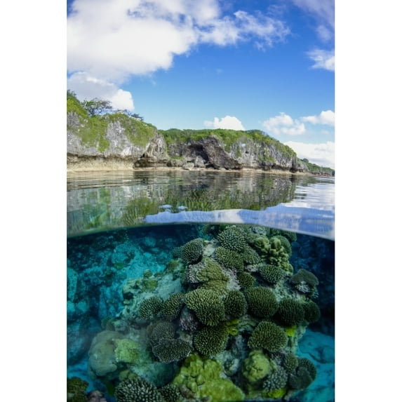 Posterazzi DPI12258817 Coral Reef - Niue Poster Print - 12 x 19 in.