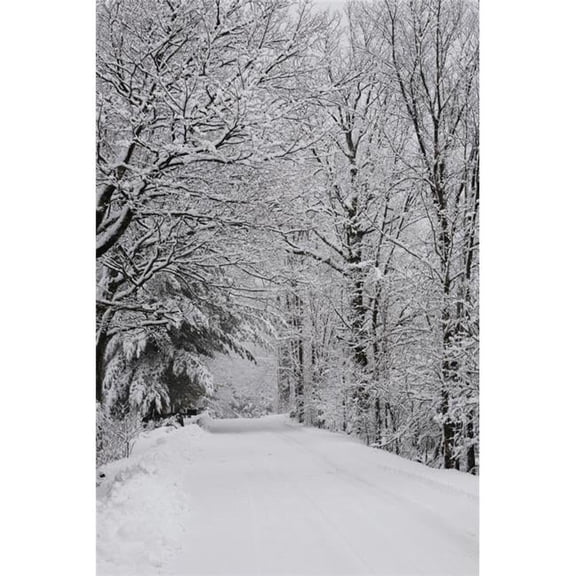 Posterazzi DPI12271008 A Snow Covered Road Lined with Leafless Trees in Winter - Brome Lake Quebec Canada Poster Print - 12 x 19 in.