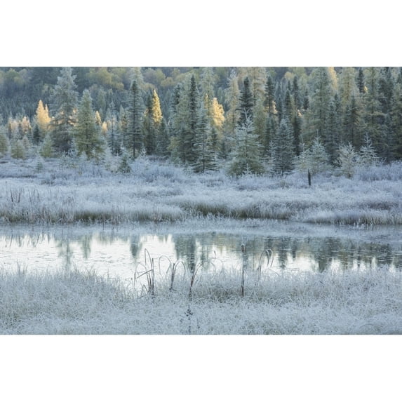 Posterazzi DPI12271053LARGE Early Morning Over Costello Creek Algonquin Park - Ontario Canada Poster Print - 38 x 24 in. - Large