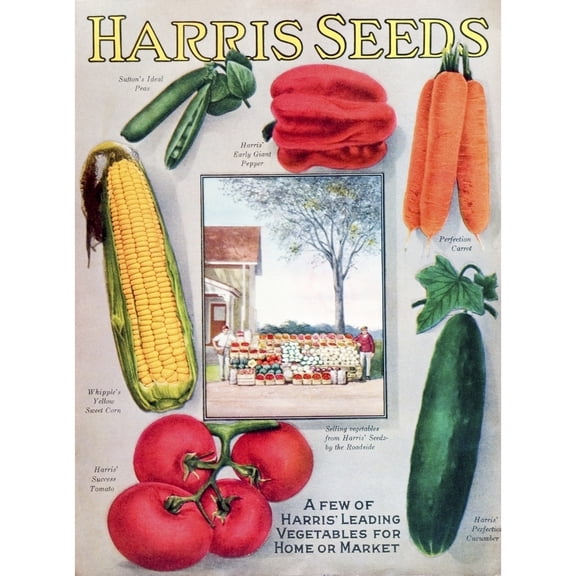 Posterazzi DPI12272548LARGE Historic Harris Seeds Catalog with Illustration of Vegetables From 20th Century Poster Print - 26 x 36 in. - Large