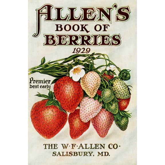 Posterazzi DPI12272558 Historic Allens Book of Berries with Illustration of Strawberries From 20th Century Poster Print - 12 x 19 in.
