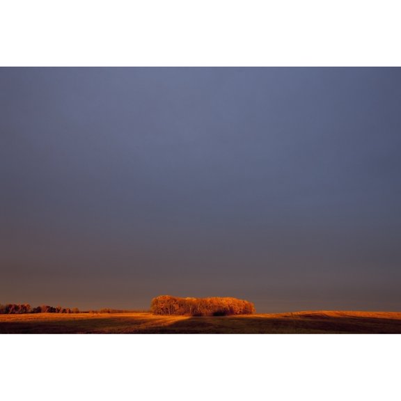Posterazzi DPI12275228LARGE A Section of Trees on The Edge of A Wheat Field Glowing Orange at Sunset - Manitoba Canada Poster Print - 38 x 24 in. - Large