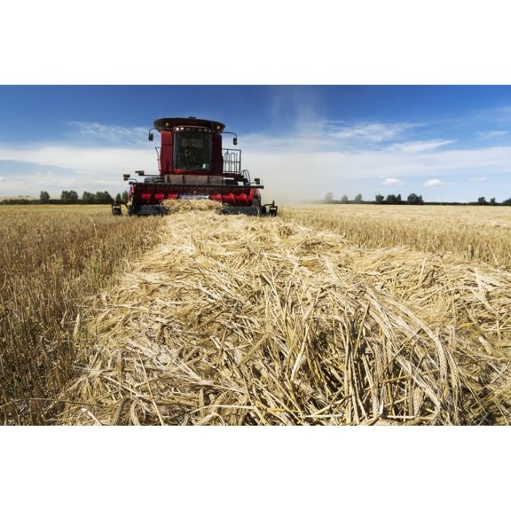 Posterazzi DPI12284616LARGE Combine Harvesting A Row of Cut Barley with Blue Sky & Clouds - Acme Alberta Canada Poster Print by Michael Interisano, 38 x 24 - Large