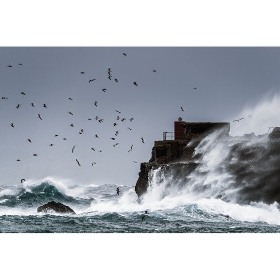 Posterazzi DPI12284902 Waves Crashing Against The Rugged Rock Coastline As Birds Fly Overhead Against A Poster Print by Ben Welsh, 19 x 12
