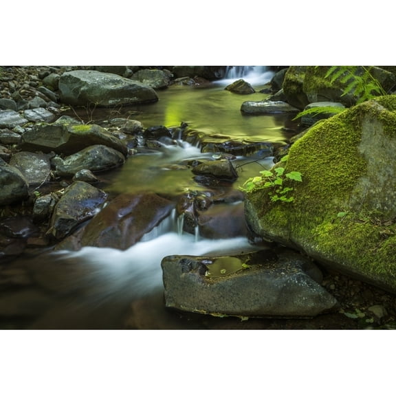 Posterazzi DPI12284957LARGE Necarney Creek Flows Out of The Coast Range At Oswald West State Park - Manzanita Oregon United States of America Poster Print by Robert L.Potts, 38 x 24 - Large