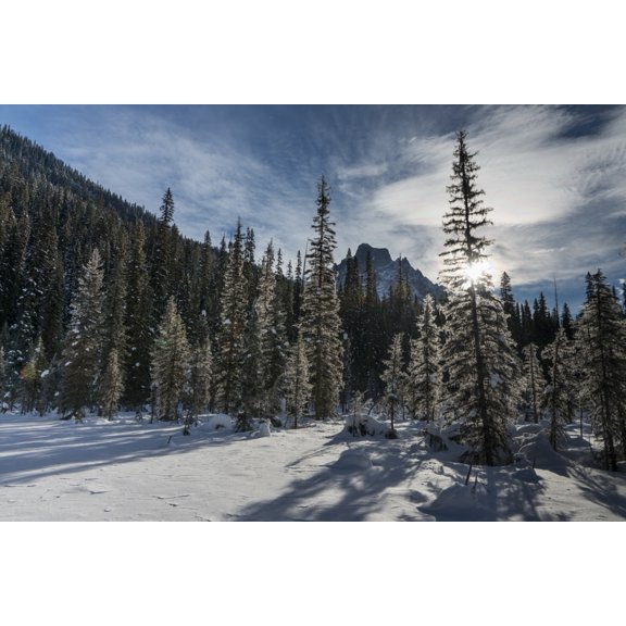 Posterazzi DPI12285061LARGE Snow On The Rugged Canadian Rocky Mountains & Trees Yoho National Park - Field British Columbia Canada Poster Print by Keith Levit, 38 x 24 - Large