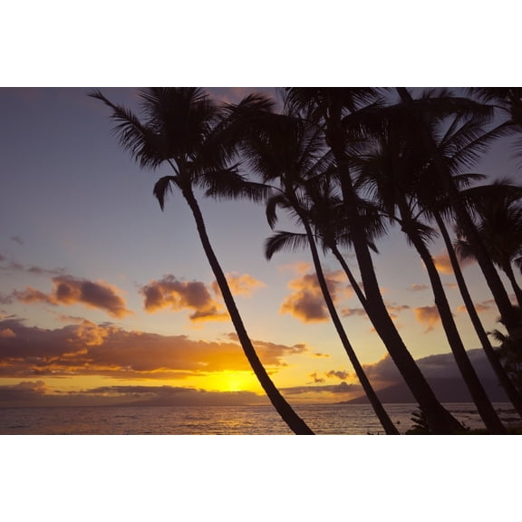 Posterazzi DPI12285834 Sunset & Silhouette of Palm Trees - Keawekapu Wailea Maui Hawaii United States of America Poster Print by Ron Dahlquist, 19 x 12