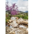 thumbnail image 1 of Posterazzi DPI12291044LARGE Stream Coming Off Mount Herman with Lush Grass & Blossoming Shrubs - Israel Poster Print by Reynold Mainse, 24 x 38 - Large, 1 of 4