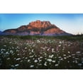 thumbnail image 1 of Posterazzi DPI12291682 Wildflowers Growing in a Meadow with A Mountain in The Distance Near Two Jack Lake Banff National Park - Alberta Canada 1 Poster Print by Justin Sinclair, 18 x 12, 1 of 3