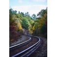 thumbnail image 1 of Posterazzi DPI12294979 Railroad Tracks Through An Autumn Coloured Forest - Ontario Canada Poster Print by Ian Crysler, 12 x 19, 1 of 4