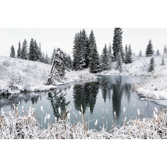 Posterazzi DPI12300801 An Open Pond in The Winter with Snow Covered Hilly Banks Evergreen Trees & Bulrushes - Calgary Alberta Canada Poster Print by Michael Interisano, 19 x 12