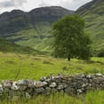 thumbnail image 1 of Posterazzi DPI12302843 Lush Grass in The Hills & A Stone Wall in The Foreground - Scotland Poster Print by Keith Levit, 16 x 16, 1 of 4