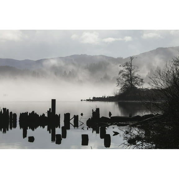 Posterazzi DPI12304773 Foggy Mountain Lake Scene with Silhouettes of Trees Pilings - Bellingham Washington United States of America Poster Print by Blake Kent, 19 x 12