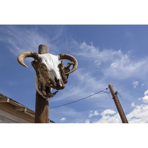 Posterazzi DPI12304798 A Sheep Skull On Route 66 Near Seligman - Arizona United States of America Poster Print by Debra Brash, 19 x 12