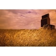 thumbnail image 1 of Posterazzi DPI1770208 Grain Elevator & Crop Poster Print by Darren Greenwood, 17 x 11, 1 of 3
