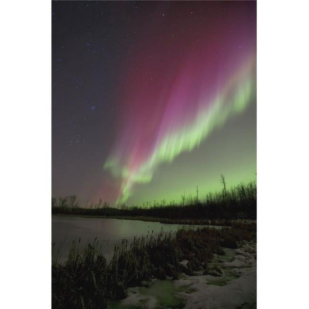 Posterazzi DPI1771360 Northern Lights Edmonton Alberta Canada Poster