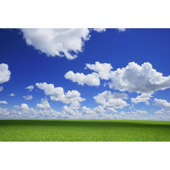 Posterazzi DPI1776267LARGE White Clouds in The Sky & Green Meadow Poster Print by Don Hammond, 34 x 22 - Large