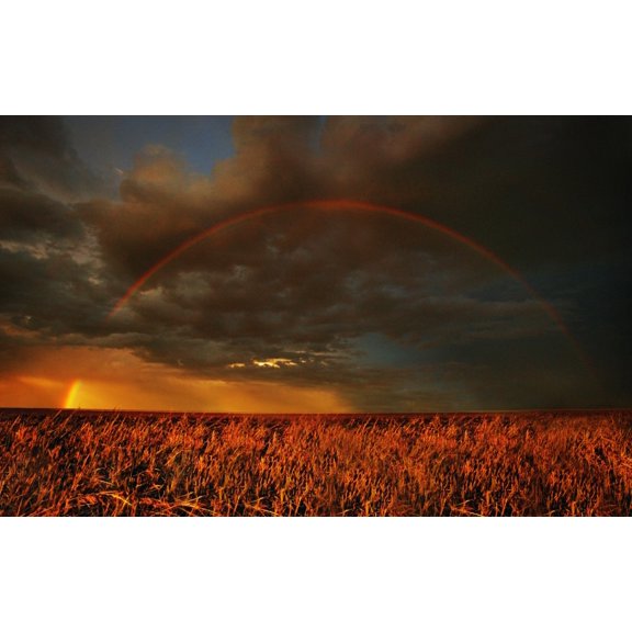 Posterazzi DPI1778826LARGE Rainbow Above Farmers Field Poster Print by Don Hammond, 34 x 22 - Large