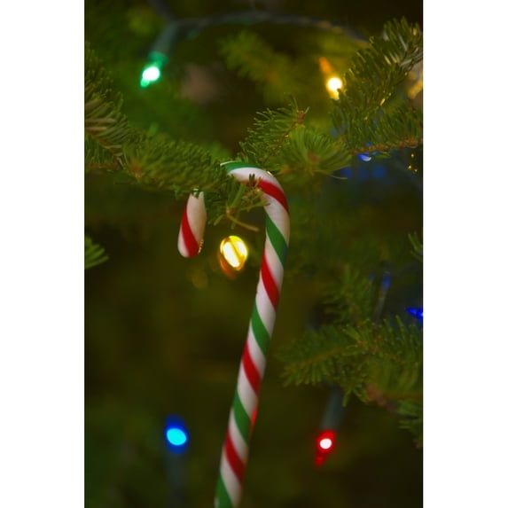 Posterazzi DPI1782561 Candy Cane On A Tree Poster Print by Carson Ganci, 11 x 17