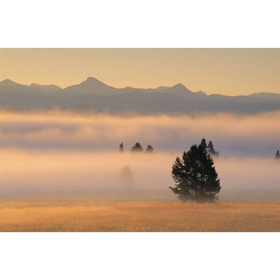 Posterazzi DPI1782626LARGE Fog At Sunrise Pelican Valley Yellowstone National Park Wyoming USA Poster Print by Natural Selection Robert Cable, 36 x 24 - Large