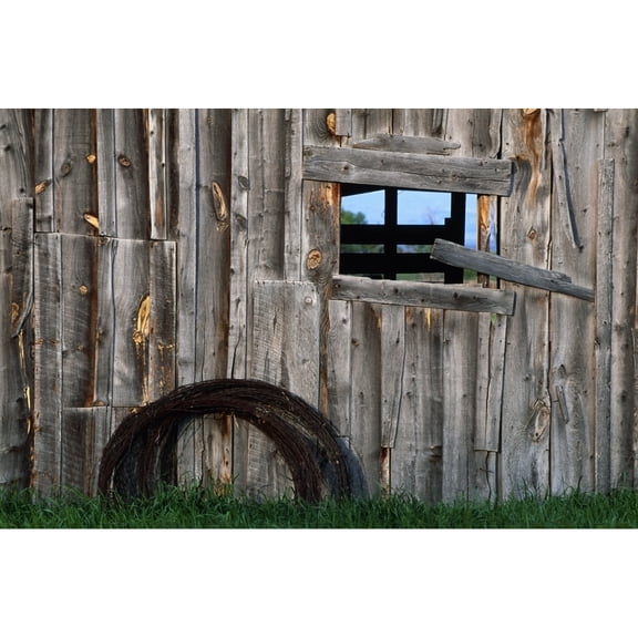 Posterazzi DPI1783284 Roll of Barbed Wire On Weathered Barn Poster Print by Natural Selection John Reddy, 18 x 12