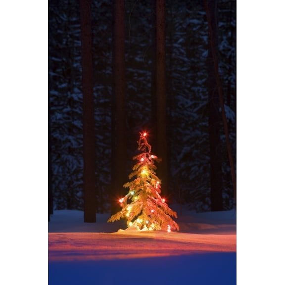 Posterazzi DPI1784129LARGE Lit Christmas Tree in a Forest Poster Print by Carson Ganci, 22 x 34 - Large
