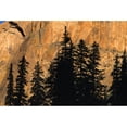 thumbnail image 1 of Posterazzi DPI1784723 Tree Silhouettes in Front of Cliff Face Poster Print by Natural Selection David Ponton, 18 x 12, 1 of 3