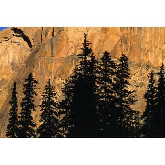 Posterazzi DPI1784723 Tree Silhouettes in Front of Cliff Face Poster Print by Natural Selection David Ponton, 18 x 12