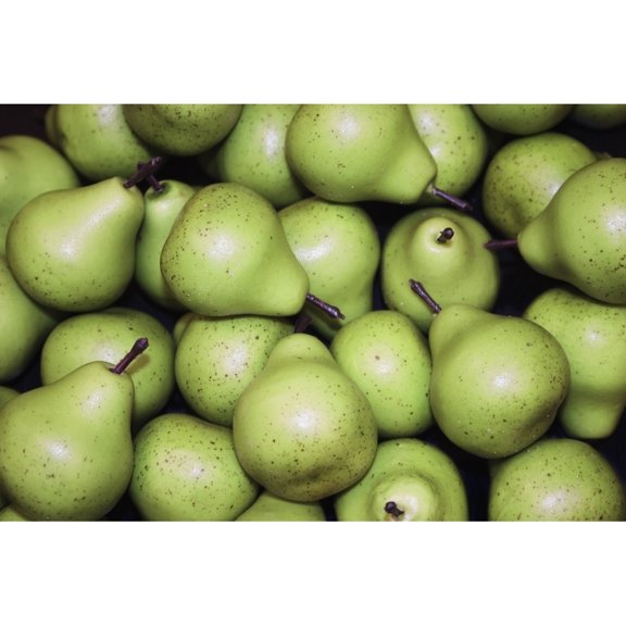 Posterazzi DPI1786256 Pears Background Poster Print by Daniel Sicolo, 17 x 11