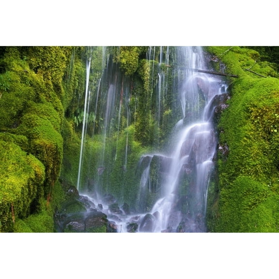 Posterazzi DPI1788409 Waterfall Over Moss-Covered Rocks Poster Print by Natural Selection Craig Tuttle, 18 x 12