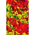 thumbnail image 1 of Posterazzi DPI1789129 Multicolored Abstract Poster Print by Paul Sale, 12 x 18, 1 of 4