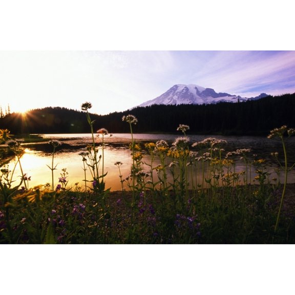 Posterazzi DPI1792535 Reflection Lake with Mt. Hood in The Distance Washington United States of America Poster Print by Natural Selection Craig Tuttle, 18 x 12