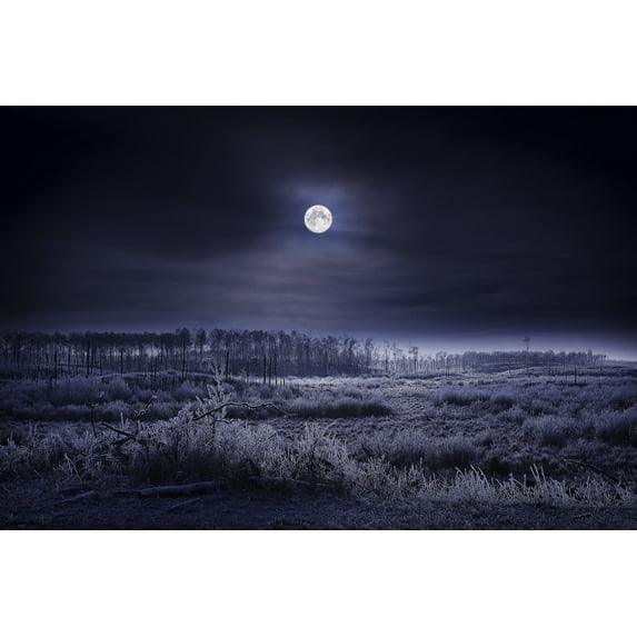 Posterazzi DPI1793597LARGE Evening Winter Scene Poster Print by Richard Wear, 34 x 22 - Large