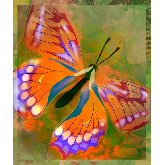 Posterazzi DPI1796724 Butterfly Illustration Poster Print by Design Pics Eye Traveller, 14 x 16