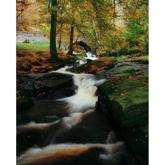 Posterazzi DPI1801877LARGE Co Wicklow Ireland - Waterfalll Near Sally Gap Poster Print by The Irish Image Collection, 26 x 34 - Large
