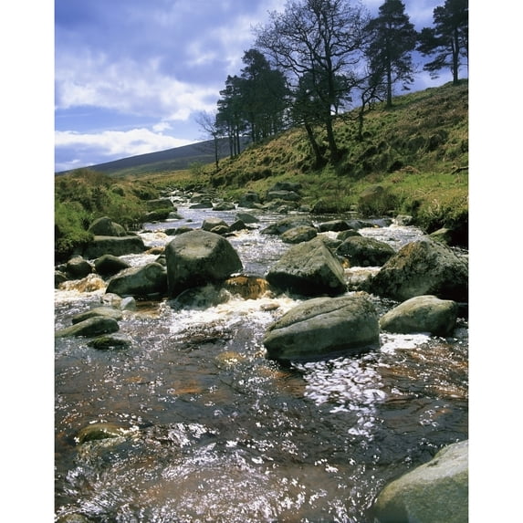 Posterazzi DPI1802295LARGE Sally Gap River Liffey Co Wicklow Ireland Poster Print by The Irish Image Collection, 26 x 34 - Large