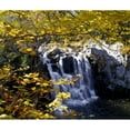 thumbnail image 1 of Posterazzi DPI1804018 Small Waterfall Among Trees Poster Print by David Chapman, 16 x 14, 1 of 3