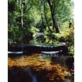 thumbnail image 1 of Posterazzi DPI1806521LARGE Glenleigh Gardens Co Tipperary Ireland - Stream Through Woods Poster Print by The Irish Image Collection, 26 x 32 - Large, 1 of 3