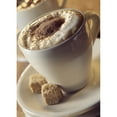 thumbnail image 1 of Posterazzi DPI1810259 Cappuccino Poster Print by The Irish Image Collection, 12 x 18, 1 of 3