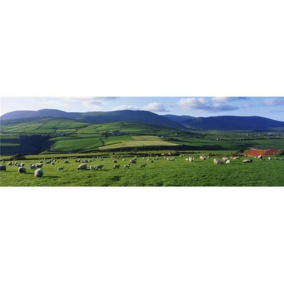 Posterazzi DPI1813521LARGE Pastoral Scene Near Anascual Dingle Peninsula Co Kerry Ireland Poster Print by The Irish Image Collection, 44 x 14 - Large