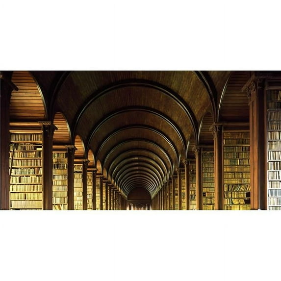 Posterazzi DPI1814594LARGE Thomas Burgh Library Trinity College Dublin Ireland Poster Print by The Irish Image Collection, 44 x 22 - Large