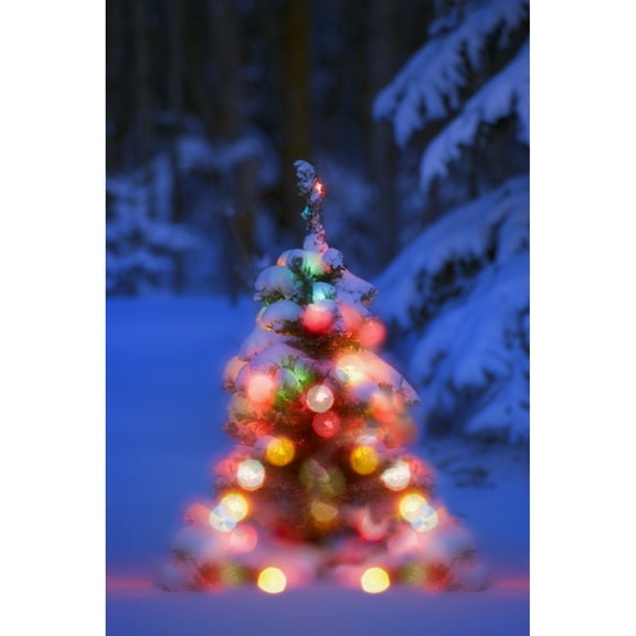 Posterazzi DPI1814696LARGE Illuminated Christmas Tree in a Forest Poster Print by Carson Ganci, 22 x 34 - Large