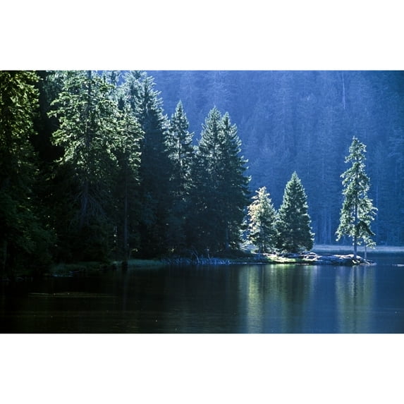 Posterazzi DPI1821412LARGE Mountain Lake in Arbersee Germany Poster Print by John Doornkamp, 38 x 24 - Large