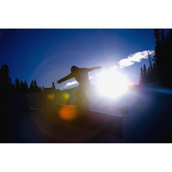 Posterazzi DPI1823964 Snowboarder Poster Print by Tes Lalonde, 18 x 12