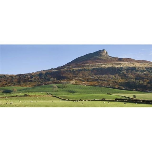 Posterazzi DPI1824161LARGE Roseberry Topping Hill Yorkshire England Poster Print by John Short, 36 x 14 - Large