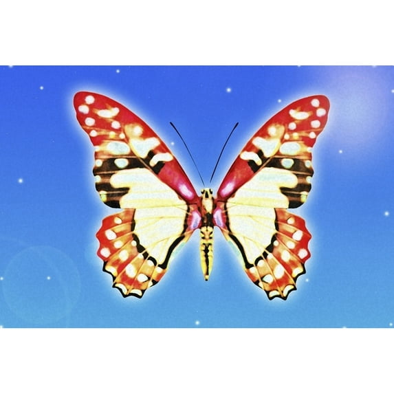 Posterazzi DPI1827717 Butterfly Poster Print by Chris & Kate Knorr, 18 x 12