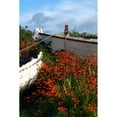 thumbnail image 1 of Posterazzi DPI1828698 Flowers in Wooden Boat in Roundstone Galway Ireland Poster Print by Peter Zoeller, 12 x 18, 1 of 3